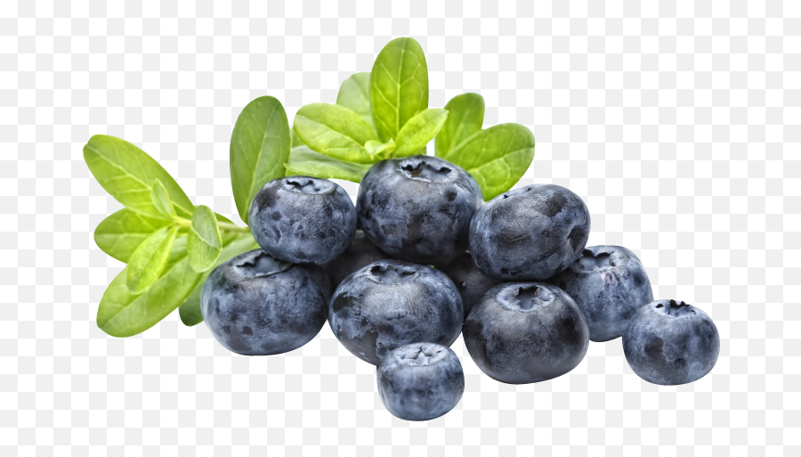 Download Blueberries Png Image For Free - Blueberry Png,Blueberries Png