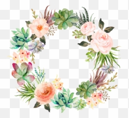 Floral Clipart Succulent Transparent Free Png