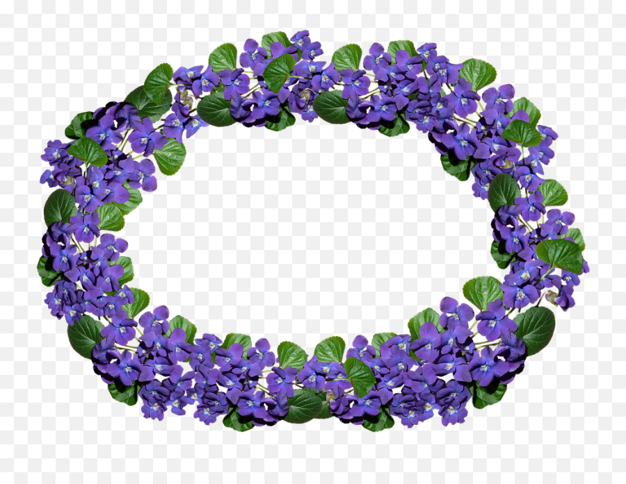 Violets Arrangement Frame Border - Violet Png,Violets Png