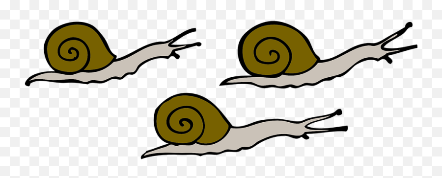 Movement Snails Moving - Free Vector Graphic On Pixabay 3 Snails Clipart Png,Snail Transparent