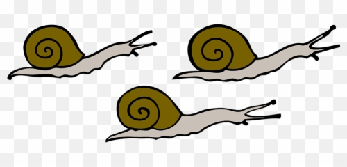 Movement Snails Moving - Free Vector Graphic On Pixabay 3 Snails Clipart Png,Snail Transparent