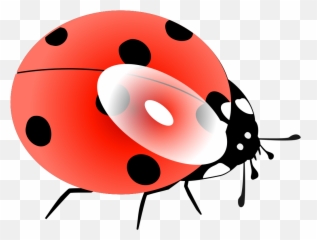 Light Blue Ladybug Svg Clip Arts Download - Download Clip Blue Ladfybug Clipart Png,Ladybug Png
