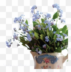 Download Forget Me Not Png Pic - Portable Network Graphics,Forget Me Not Png