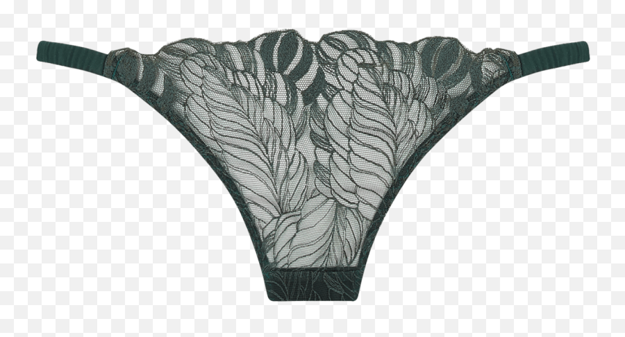 Frieda Thong - Underpants Png,Thong Png