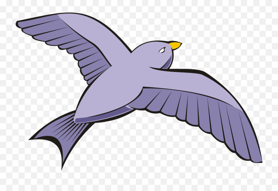 Download Bird Columbidae Rock Dove - Bird Flying Clipart Png,Doves Flying Png