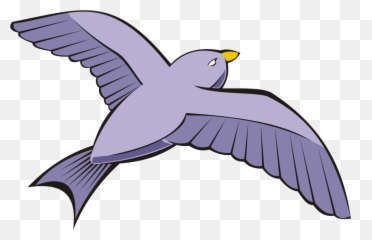 Download Bird Columbidae Rock Dove - Flying Clipart Png