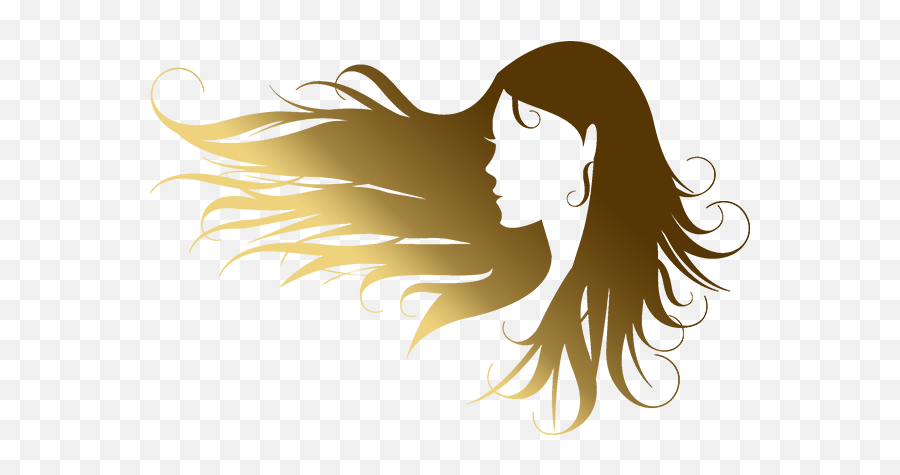 Tracys Essential Looks - Black Hair Blow By Wind Png,Hair Stylist Logo