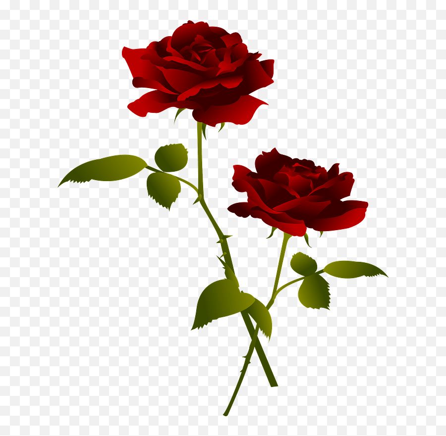 Red Rose Flower Clipart - Rose Flower Clipart Png,Red Flower Transparent