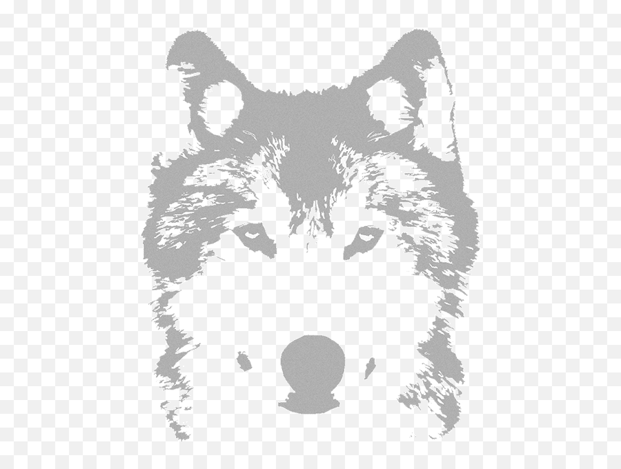Wolf Video Productions Png Transparent Background
