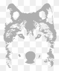 Wolf Video Productions Png Transparent Background