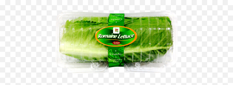 Romaine Salad - Household Supply Png,Romaine Lettuce Png