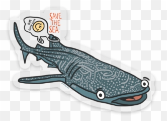 Download Hd Image Of Have A Nice Day Whale Shark - Cartoon Cartoon Png,Whale Shark Png