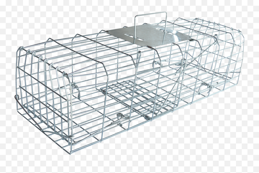 Pest - Stop Squirrel Cage Mesh Png,Steel Cage Png