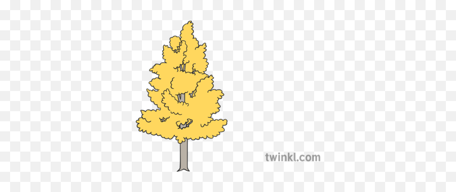 Aspen Tree Illustration - Language Png,Aspen Tree Png