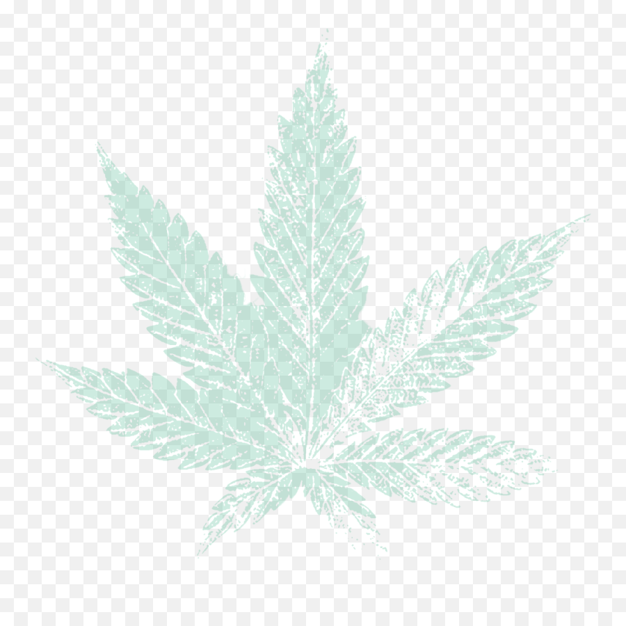 Cannabis Png Marijuana Leaf Transparent