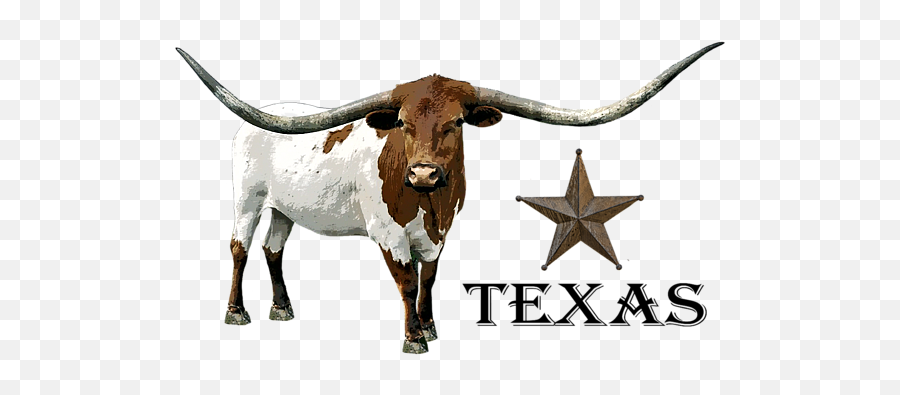 T - Texas Png,Longhorn Cattle Icon