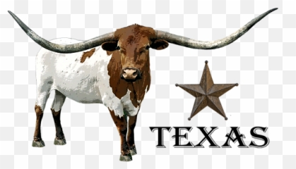 T - Texas png