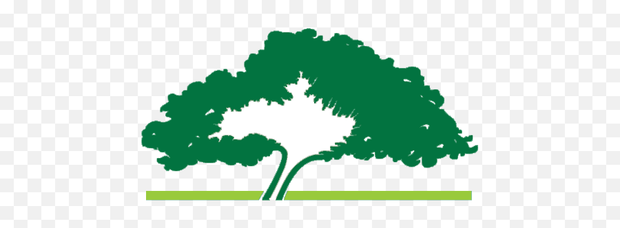 20 Years Of Running To Remember U2013 Oklahoma City Memorial - Survivor Tree Logo Png,Spectate Icon