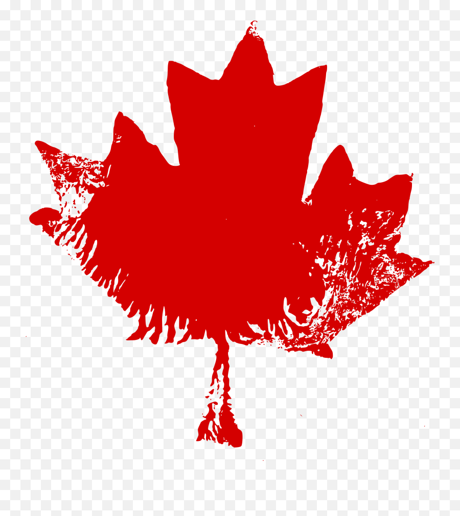 6 Grunge Maple Leaf Transparent - Maple Leaf Png,Canada Maple Leaf Png