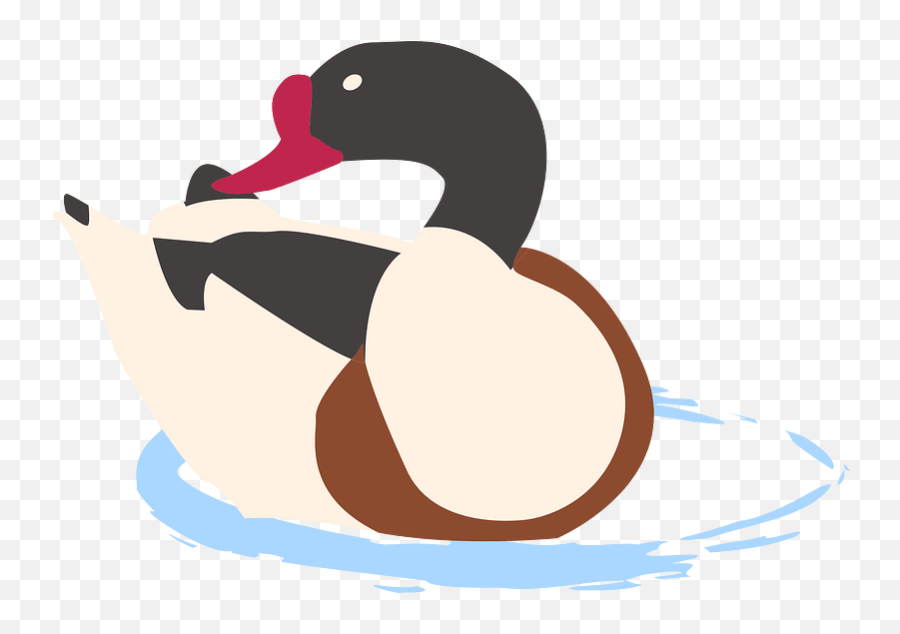 Ducks Clipart Free Download Transparent Png Creazilla - Domestic Duck,Duck Icon Png