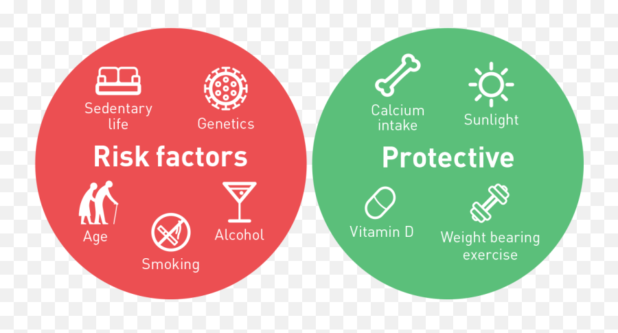 Facts And Figures - Coffee And Health Tips For Healthy Bones Png,Bone Transparent Background