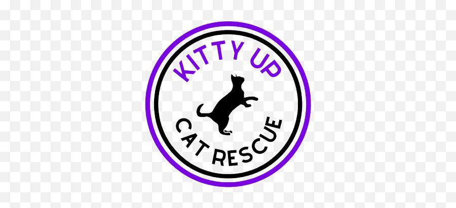 Home - Kitty Up Cat Rescue Png,Spay Club Icon