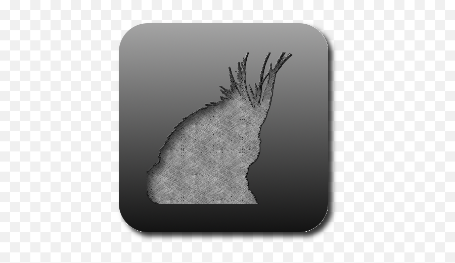 About Twitter Api 11 Nymphicus Client - Sketch Png,Twitter Comment Icon