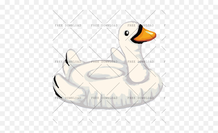 Duck Goose Swan Bird Png Image With - Swans,Swan Png