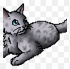 Lavenderkit Warriors Wiki Fandom Png