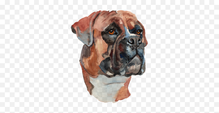 Pet Parent Handouts Png Boxer Dog Icon