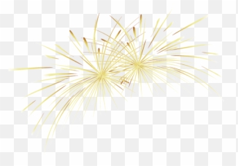 Download Clipart Library Yellow Fireworks Transprent Png