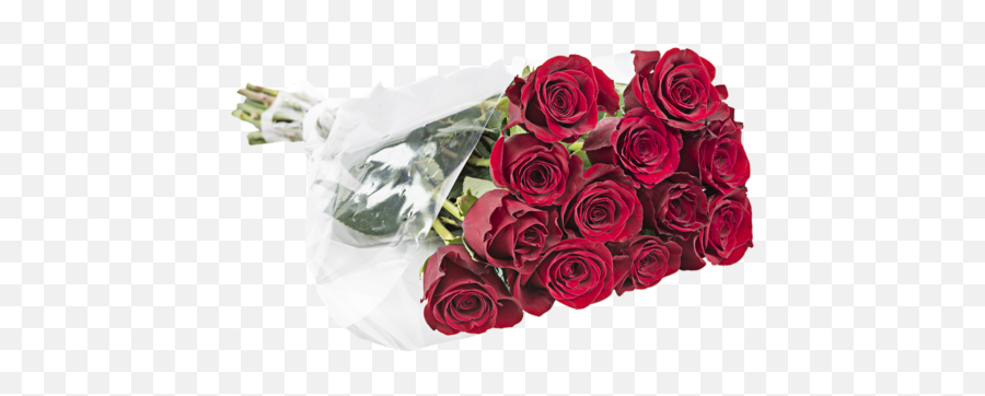 Valentineu0027s Day Dozen Roses Bouquet - 10 Units Per Box Dozen Rose Bouquet Png,Roses Transparent