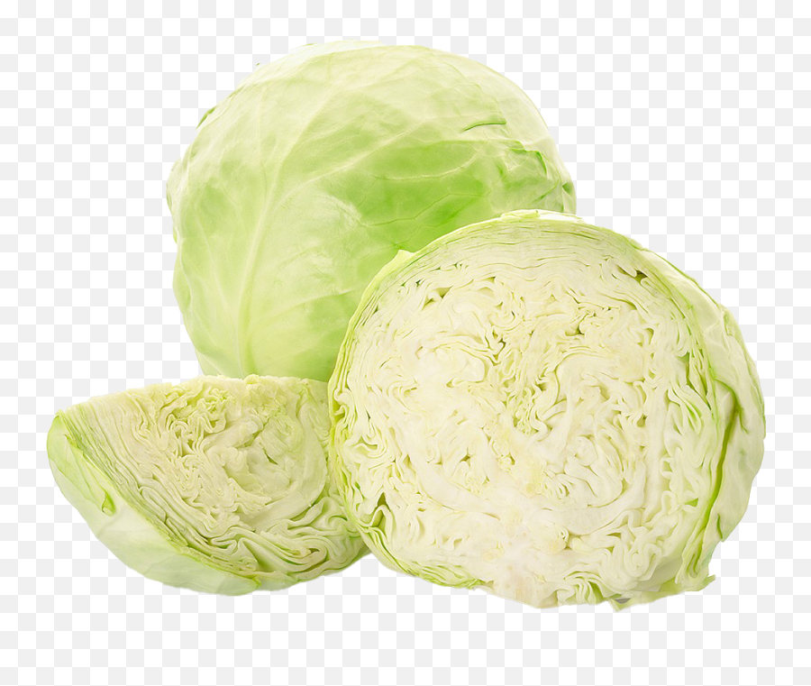 Cabbage Png Hd Quality Play - Brussels Sprout,Cabbage Transparent