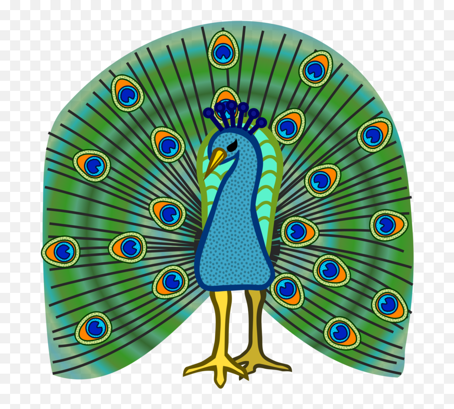 Galliformesbeakpeafowl Png Clipart - Royalty Free Svg Png Peacock Clipart,Peacock Png