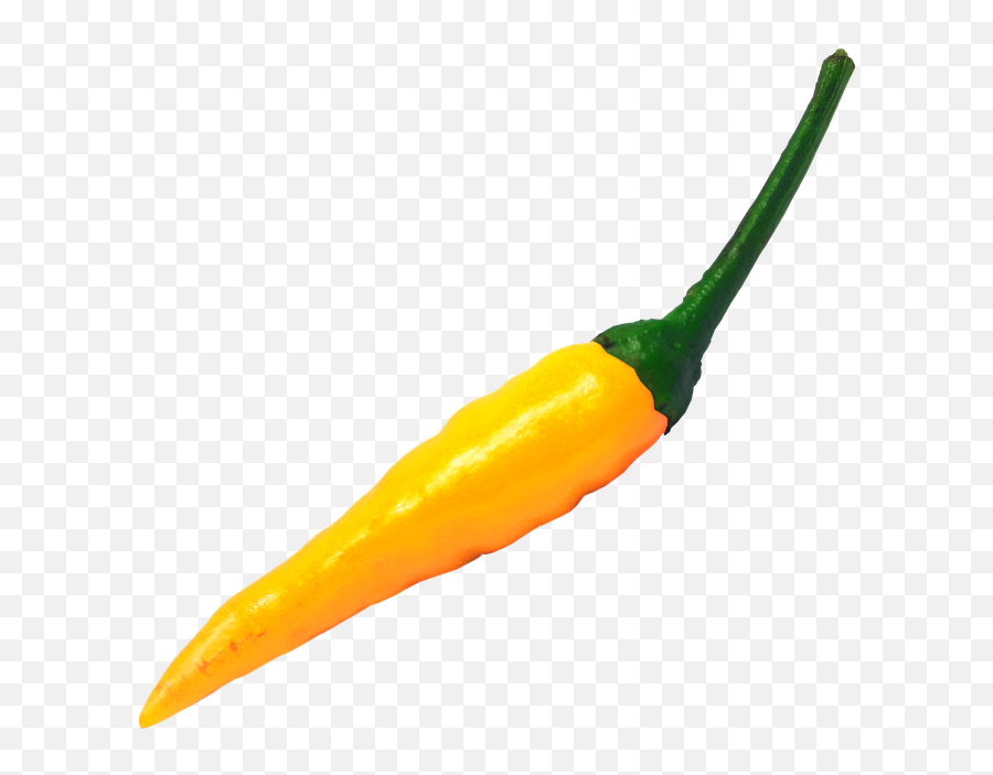 Chili Hot Pepper - Free Image On Pixabay Tabasco Pepper Png,Chili Png