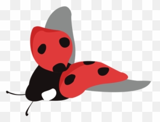 Flat Ladybug Image Fly - Transparent Png U0026 Svg Vector File Cartoon,Ladybug Png
