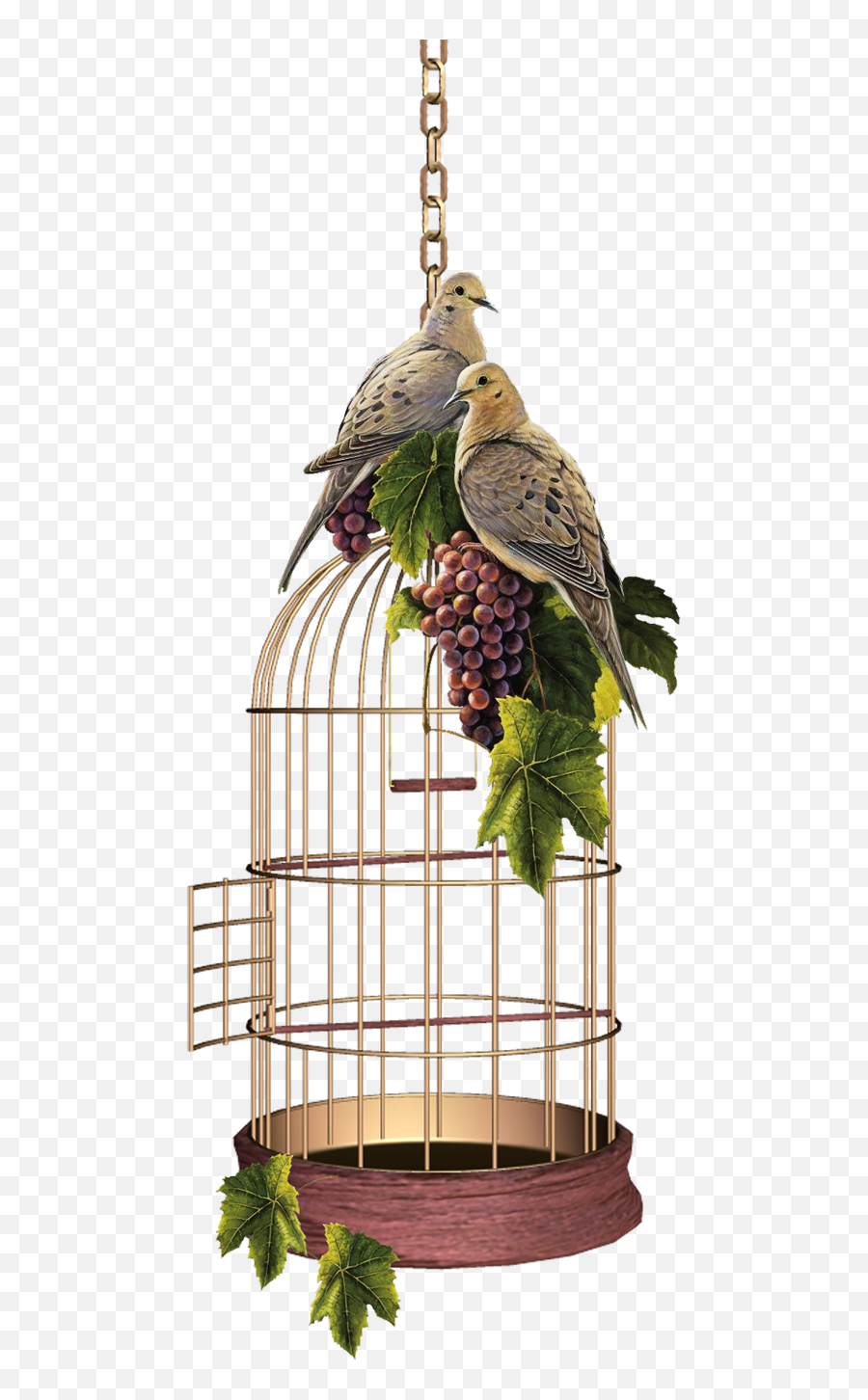 Parrot Cage Png Gif - Birdcage Png,Bird Cage Png