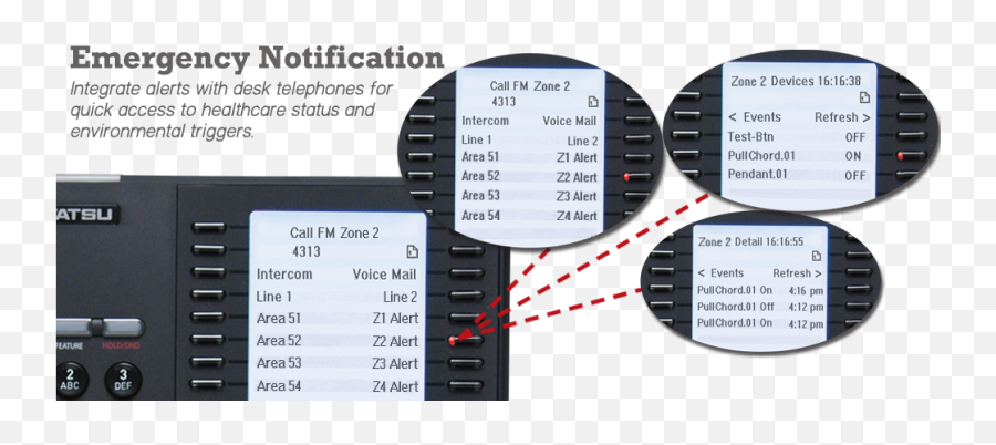 Grapevine Telesystems - Screenshot Png,Grapevine Png