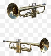 Musical Instruments Trumpet - Free image on Pixabay png