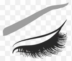 Eyelash Lash Png Images Free Download