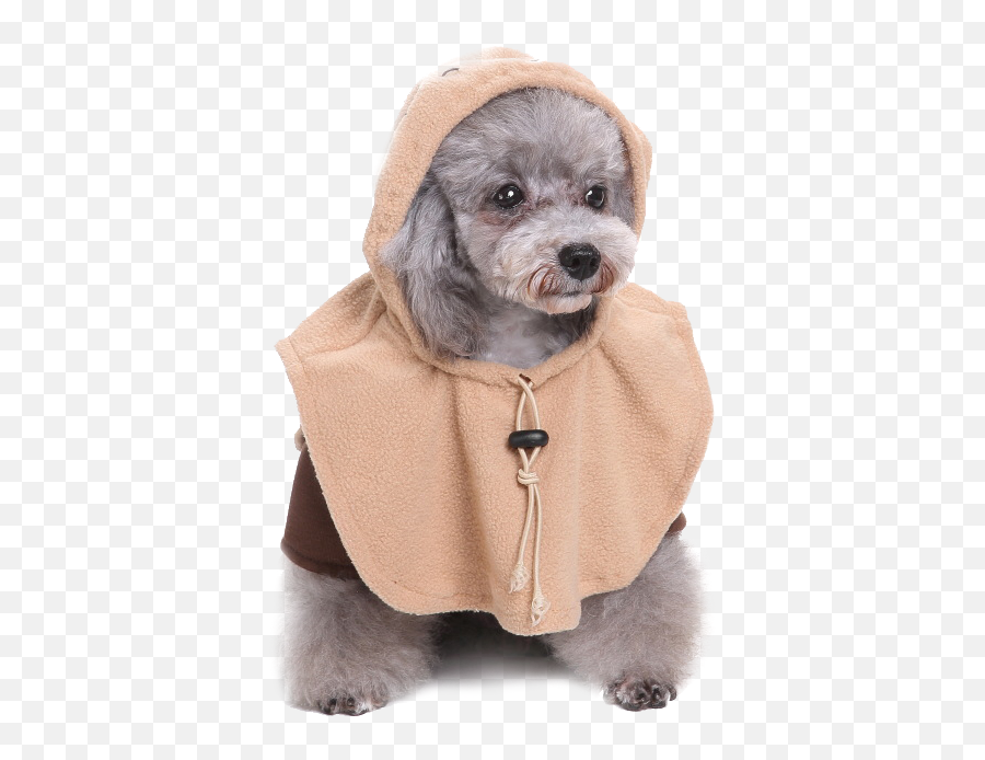 Star Wars Ewok Dog Costume Png