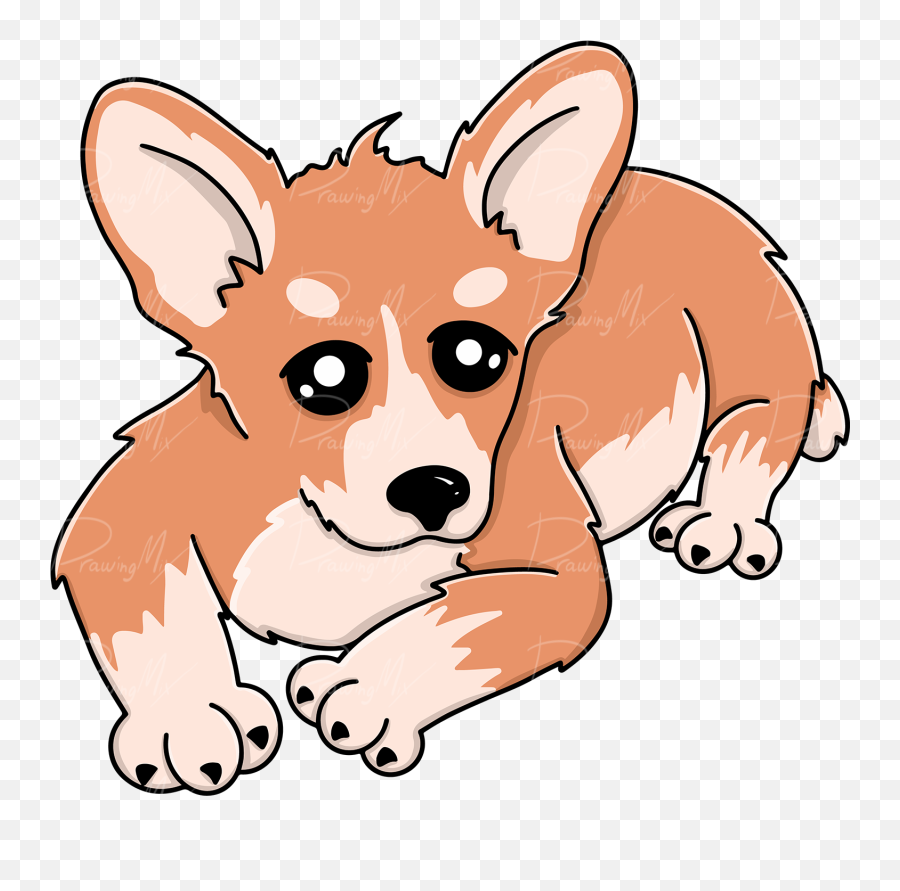 Corgi - Dorgi Png,Corgi Png