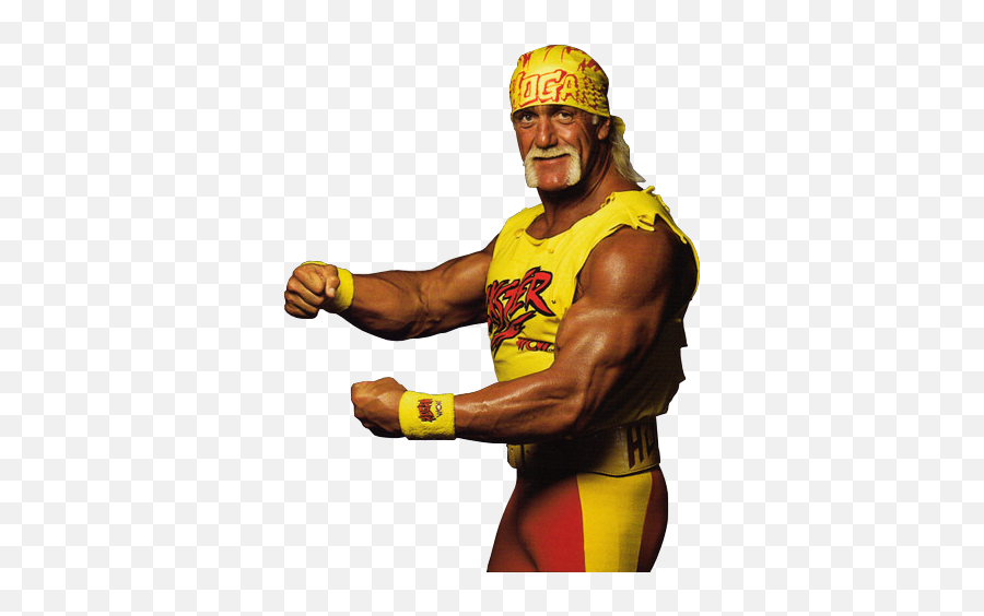 What Is Hulk Hogan Famous For - Hulk Hogan 90s Png,Hulk Hogan Png