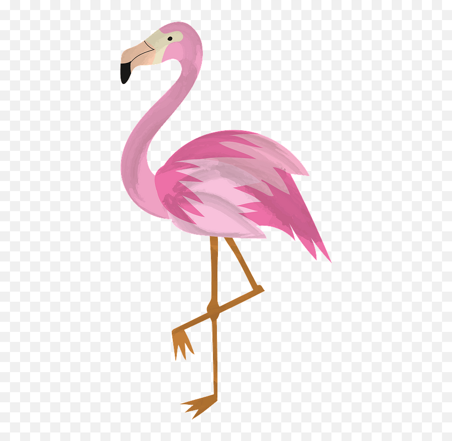 Flamingo Clipart - Flamingo Clipart Free Png,Flamingo Clipart Png