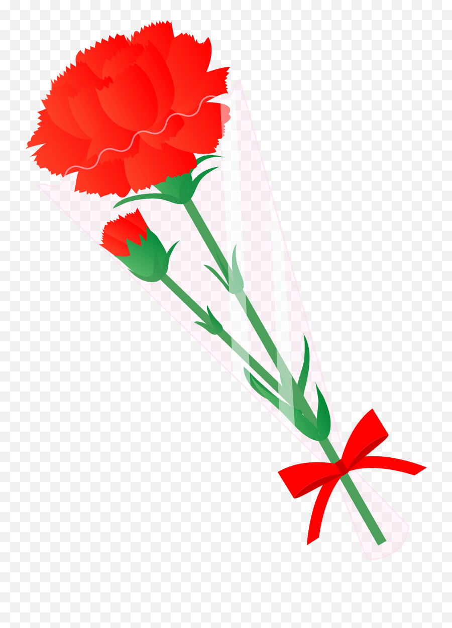 Carnation Flower Clipart - Floral Png,Carnation Png