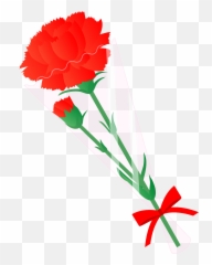 Carnation Flower Clipart - Floral Png,Carnation Png