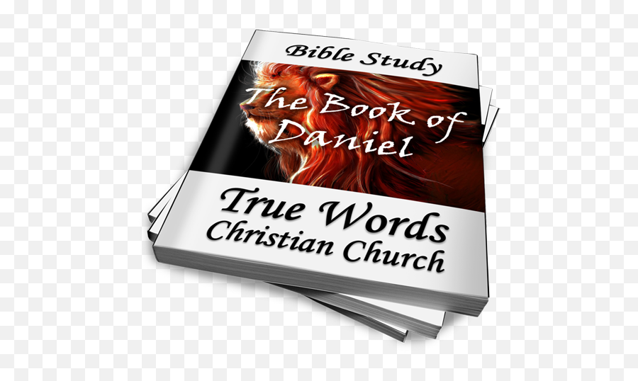 The Book Of Daniel Bible Study - Horizontal Png,Bible Study Png