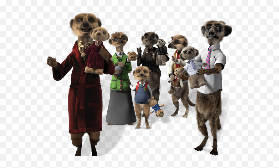 Download 0 Ctm Toycollection - Meerkats Compare The Market Png,Meerkat Png