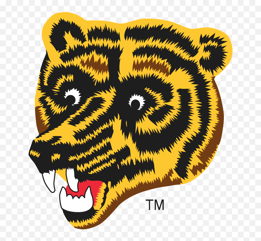 Boston Bruins Alternate Logo 1976 - 95 Boston Bruins Logo Bruins Reverse Retro Jersey Png,Boston Band Logo