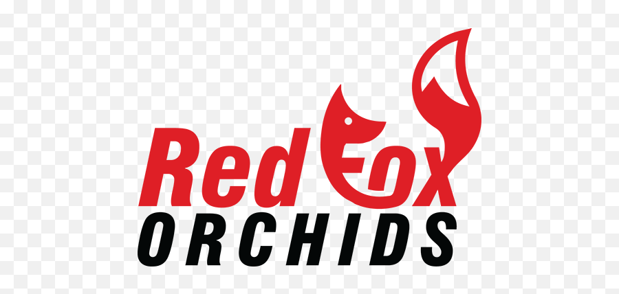 New Webpage For Red Fox Orchids - Red Fox Orchids Png,Red Fox Logo